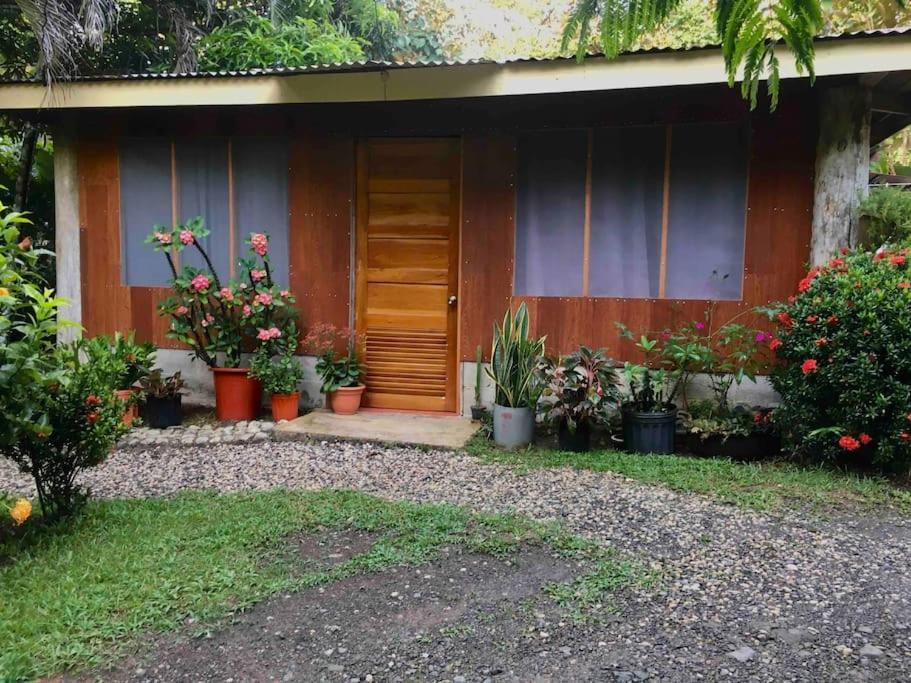Casa Sol Apartment Puerto Jimenez Exterior photo